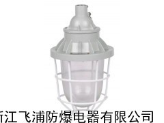 BAD52系列隔爆型防爆燈,隔爆型防爆燈廠家_供應產(chǎn)品_浙江飛浦防爆電器